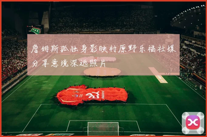 詹姆斯孤独身影映衬原野乐福社媒分享意境深远照片