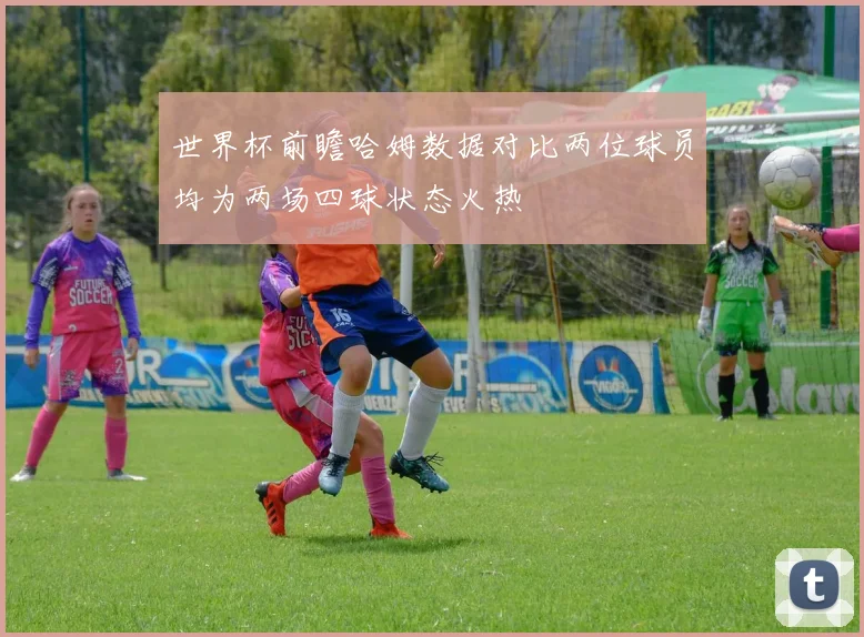 世界杯前瞻哈姆数据对比两位球员均为两场四球状态火热